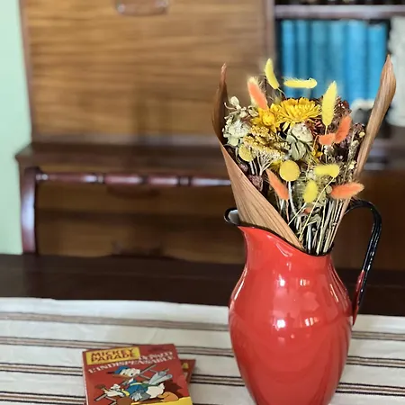 公寓 Vintage Experience στην άνω πολη *